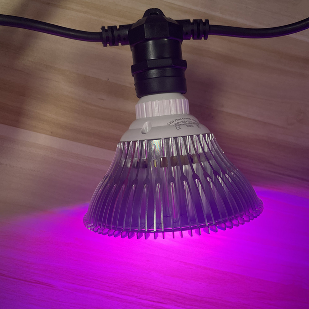 10M Cable LED String Commercia - Outdoor Power Adapter review and price